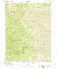Raglin Ridge 1967 topographic map thumbnail