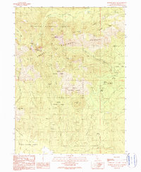 Rainbow Mountain 1990 topographic map thumbnail