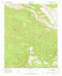 Rancho Nuevo Creek 1943 topographic map thumbnail