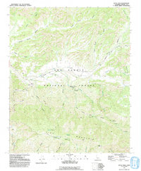 Reyes Peak 1991 topographic map thumbnail