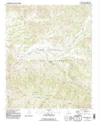Reyes Peak 1991 topographic map thumbnail