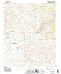 Rio Bravo Ranch 1992 topographic map thumbnail