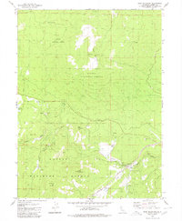 Roop Mountain 1980 topographic map thumbnail