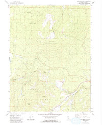 Roop Mountain 1980 topographic map thumbnail