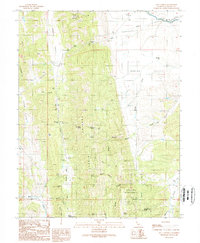Salt Canyon 1989 topographic map thumbnail