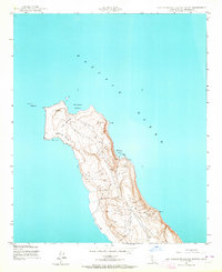 San Clemente Island North 1943 topographic map thumbnail