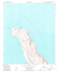 San Clemente Island North 1943 topographic map thumbnail