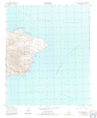 Santa Cruz Island D 1943 topographic map thumbnail