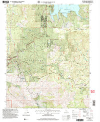 Shaver Lake 2004 topographic map thumbnail