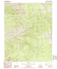 Silver City 1988 topographic map thumbnail