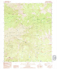Silver City 1993 topographic map thumbnail