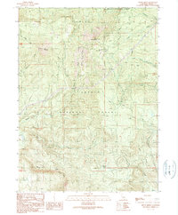 Skunk Ridge 1990 topographic map thumbnail