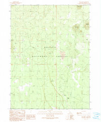 Snag Hill 1990 topographic map thumbnail