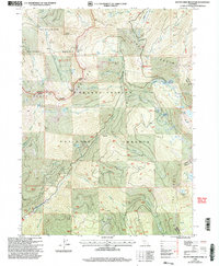 South China Mountain 1998 topographic map thumbnail