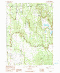 Steele Swamp 1990 topographic map thumbnail