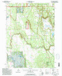 Steele Swamp 1993 topographic map preview
