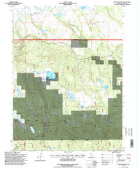 Straylor Lake 1995 topographic map thumbnail