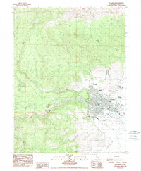 Susanville 1988 topographic map thumbnail