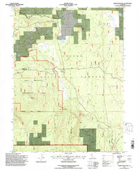 Swain Mountain 1995 topographic map thumbnail