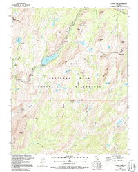Tenaya Lake 1992 topographic map thumbnail