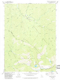 Thompson Peak 1979 topographic map thumbnail