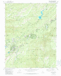 Twain Harte 1979 topographic map thumbnail
