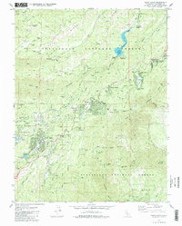 Twain Harte 1979 topographic map thumbnail