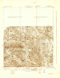 Vejor 1929 topographic map thumbnail