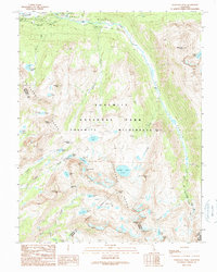 Vogelsang Peak 1990 topographic map thumbnail