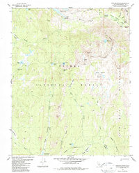 Ward Mountain 1982 topographic map thumbnail