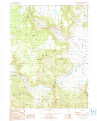 Washington Mountain 1990 topographic map thumbnail