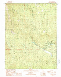 Wawona 1990 topographic map thumbnail