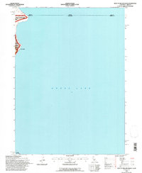 West of Willow Ranch 1993 topographic map thumbnail