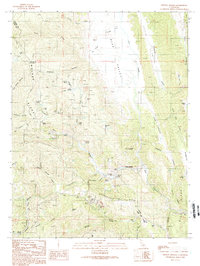 Wilbur Springs 1989 topographic map thumbnail