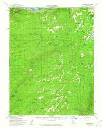 Big Meadow 1956 topographic map thumbnail