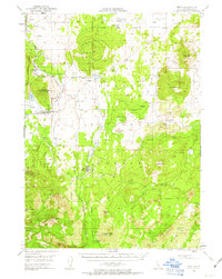 Bray 1950 topographic map thumbnail