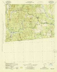 Campo 1942 topographic map thumbnail