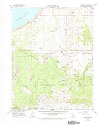 Cowtrack Mtn 1962 topographic map thumbnail