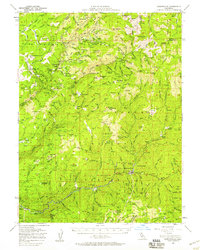 Downieville 1951 topographic map thumbnail