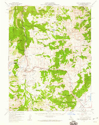 Fales Hot Springs 1956 topographic map thumbnail