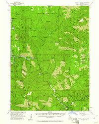 Forks of Salmon 1955 topographic map preview