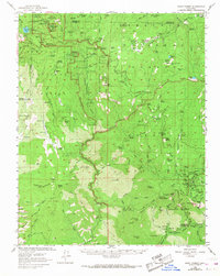 Giant Forest 1956 topographic map thumbnail