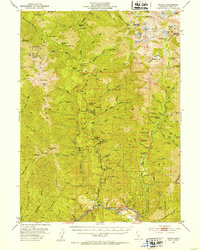Helena 1951 topographic map thumbnail