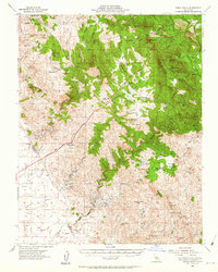 Indian Gulch 1954 topographic map thumbnail