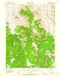 Loyalton 1955 topographic map thumbnail