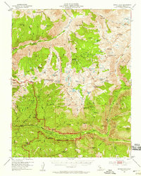 Marion Peak 1953 topographic map thumbnail