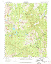 Markleeville 1956 topographic map thumbnail