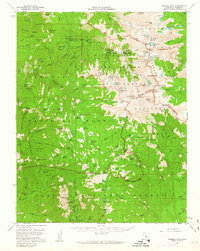 Mineral King 1956 topographic map thumbnail