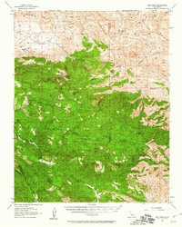 New Idria 1956 topographic map thumbnail