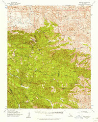 New Idria 1956 topographic map thumbnail